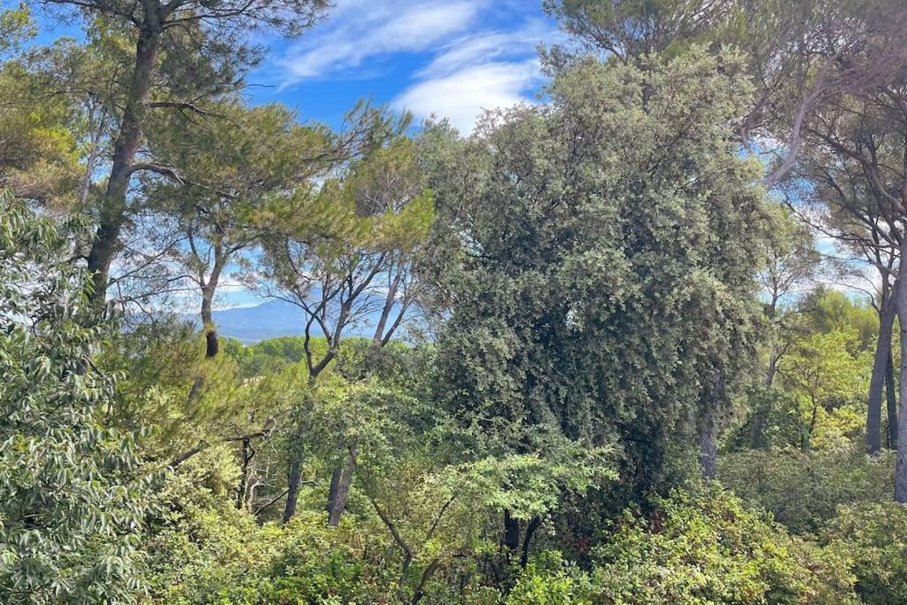 Holiday home Maison En Provence - Les Bastidons Du Ventoux *