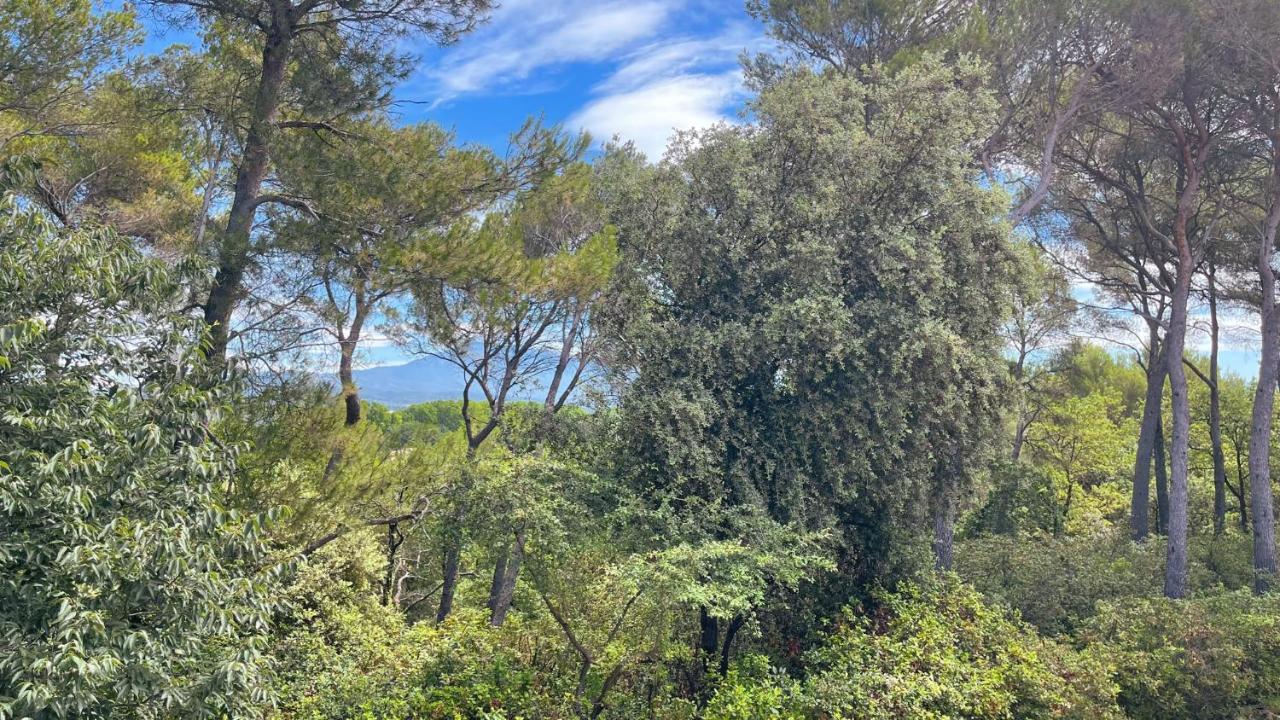 Holiday home Maison En Provence - Les Bastidons Du Ventoux *